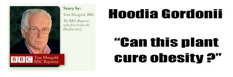 BBC and Hoodia Gordonii